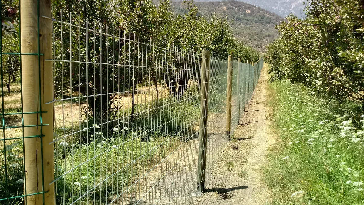 Malla 1G: qué es, cómo se reconoce y cuánto cuesta instalada