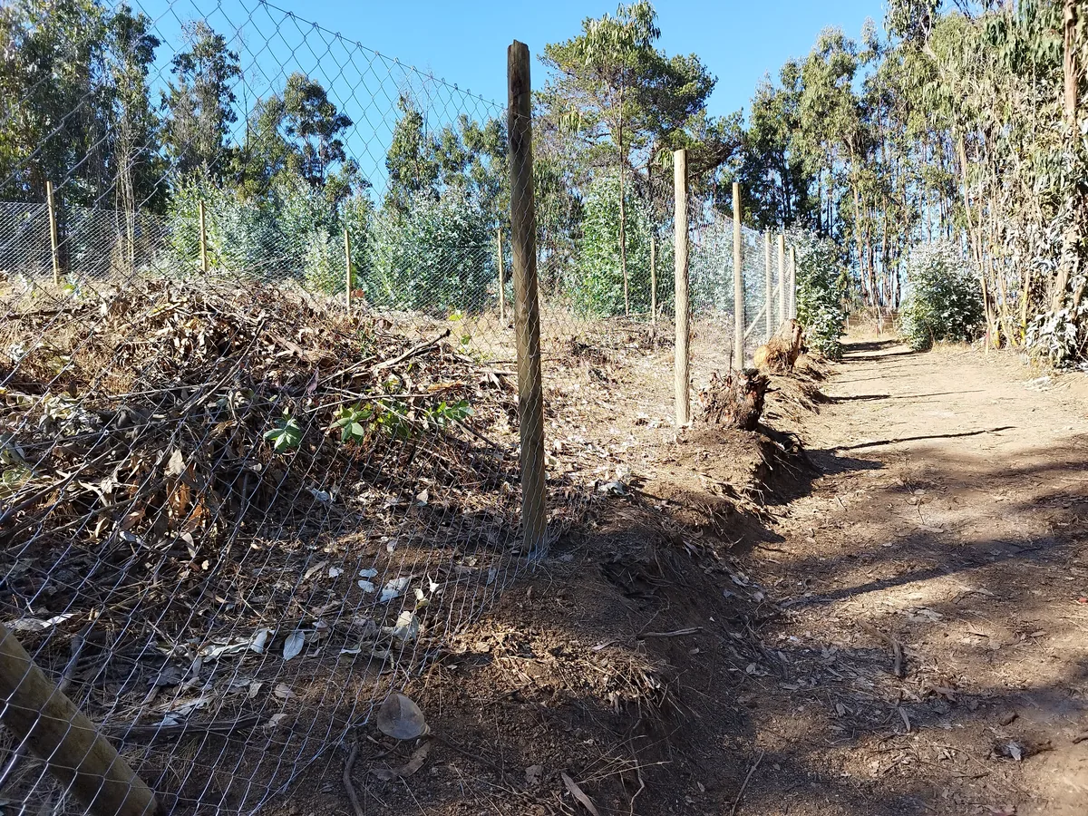 Cierre Perimetral en Algarrobo — foto 3