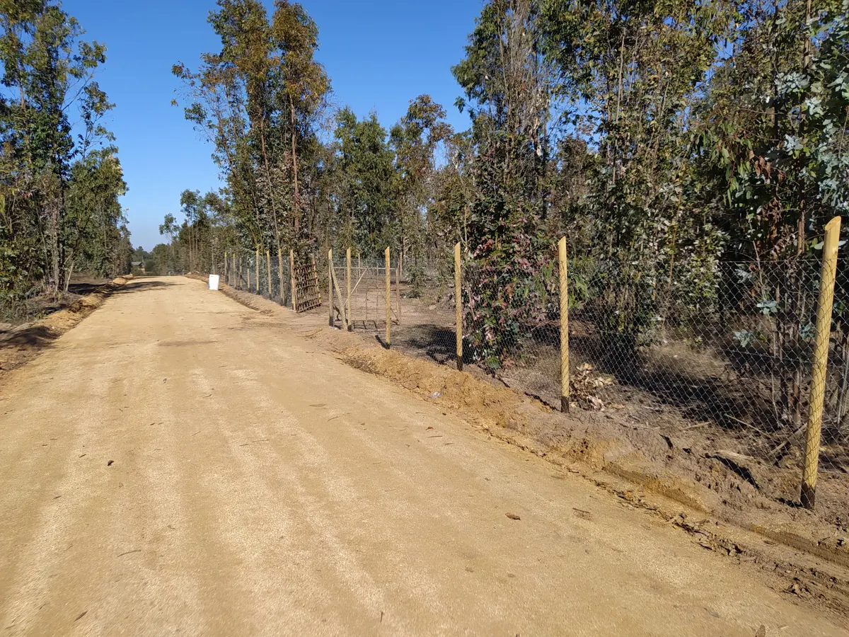 Cierre Perimetral en Alto Tunquén, Algarrobo — Malla cuadrada — foto 8