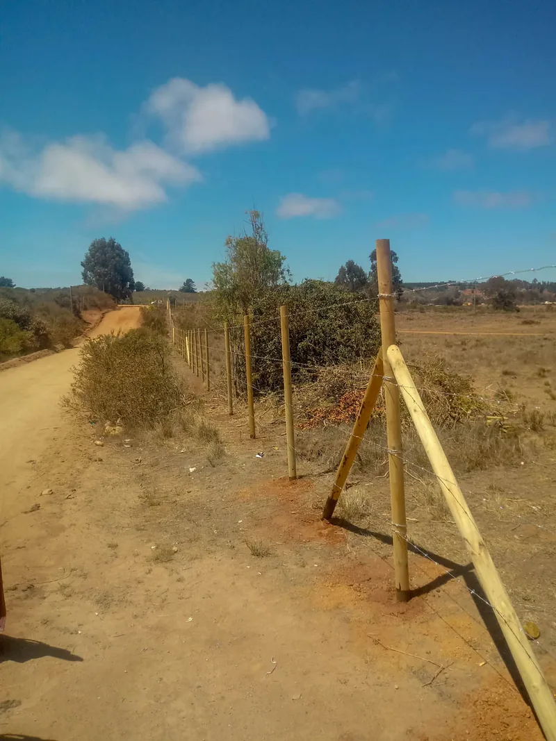 Cierre Perimetral en El Yeco, Algarrobo – Alambre de Púa — foto 2