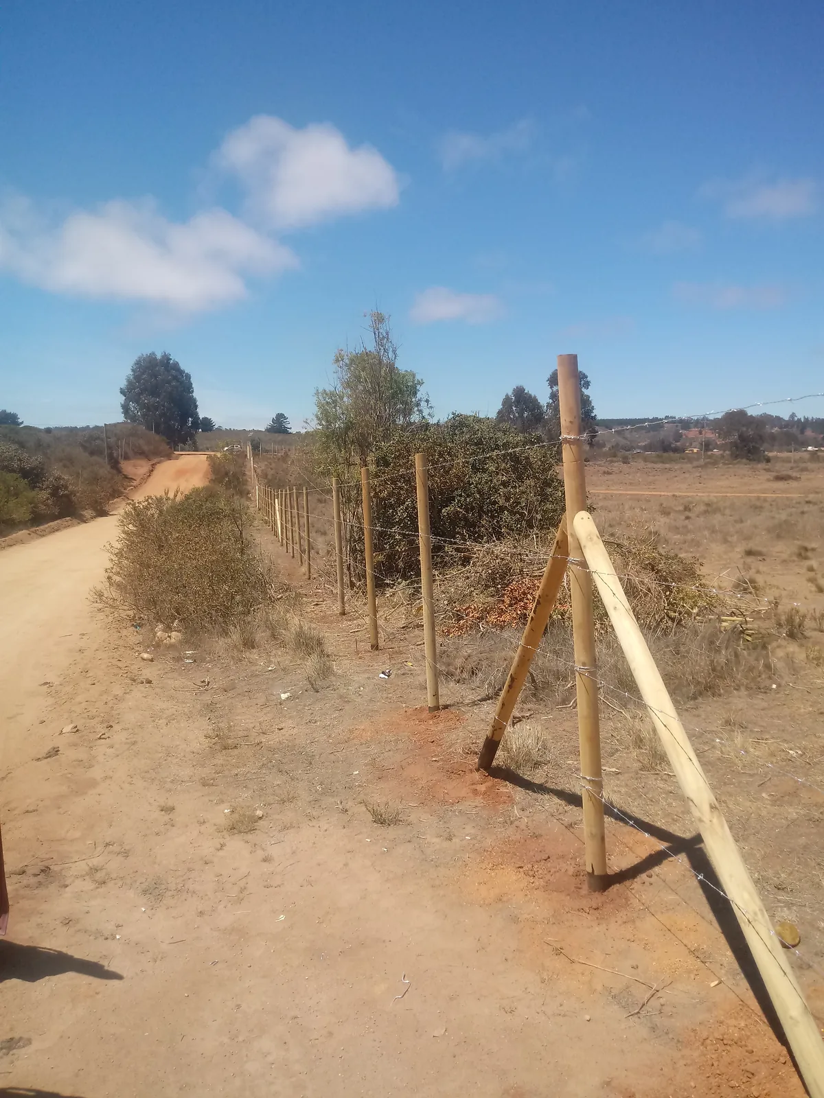 Cierre Perimetral en El Yeco, Algarrobo — Alambre de púa y malla cuadrada — foto 3