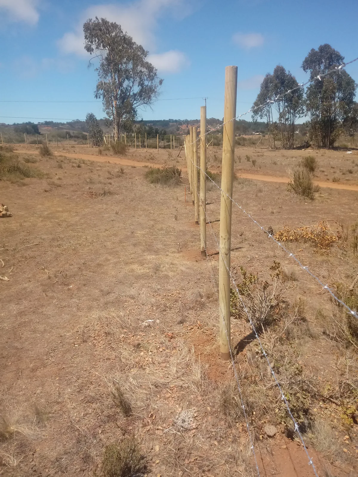 Cierre Perimetral en El Yeco, Algarrobo — Alambre de púa y malla cuadrada — foto 4