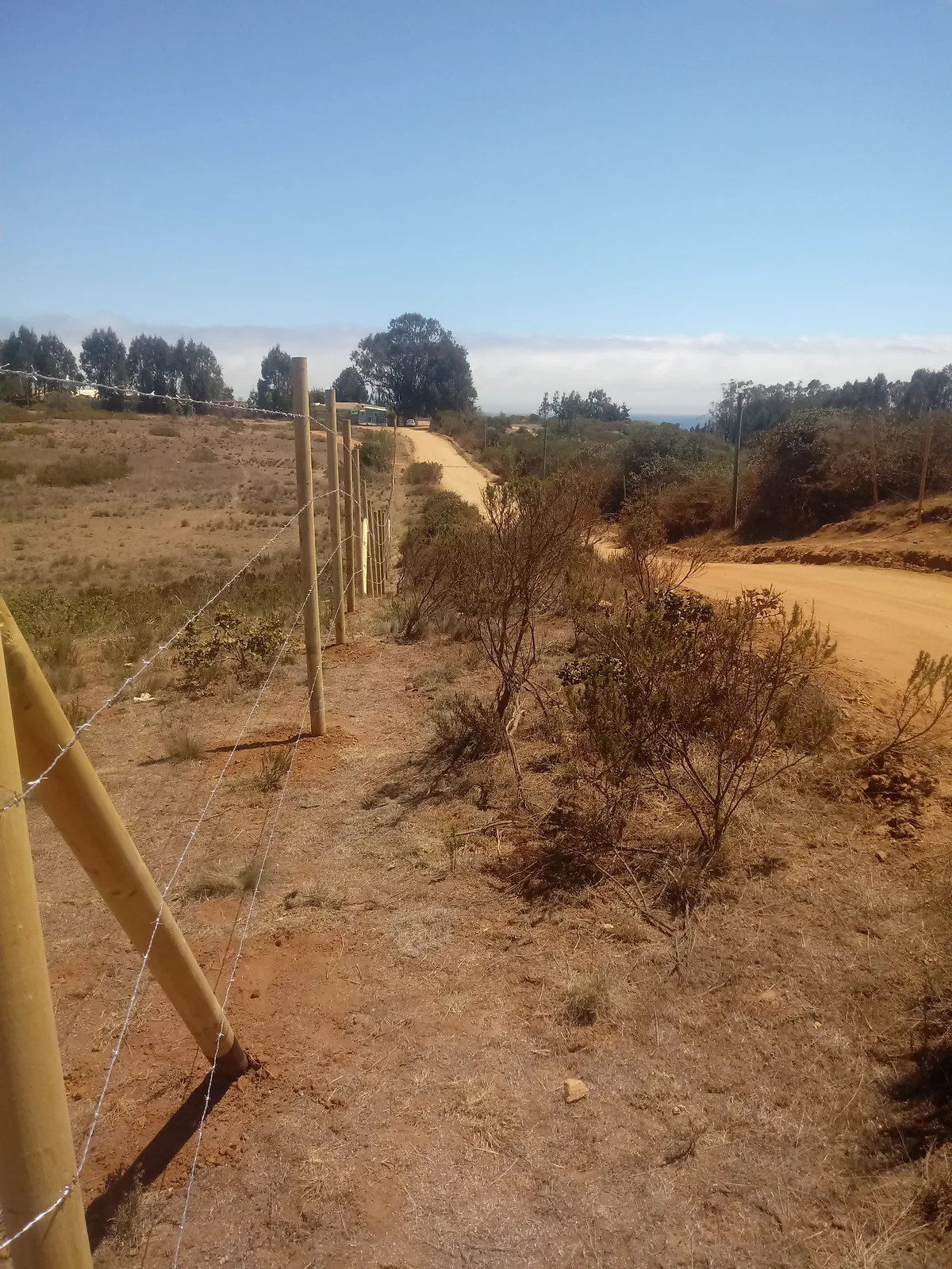 Cierre Perimetral en El Yeco, Algarrobo — Alambre de púa y malla cuadrada — foto 5