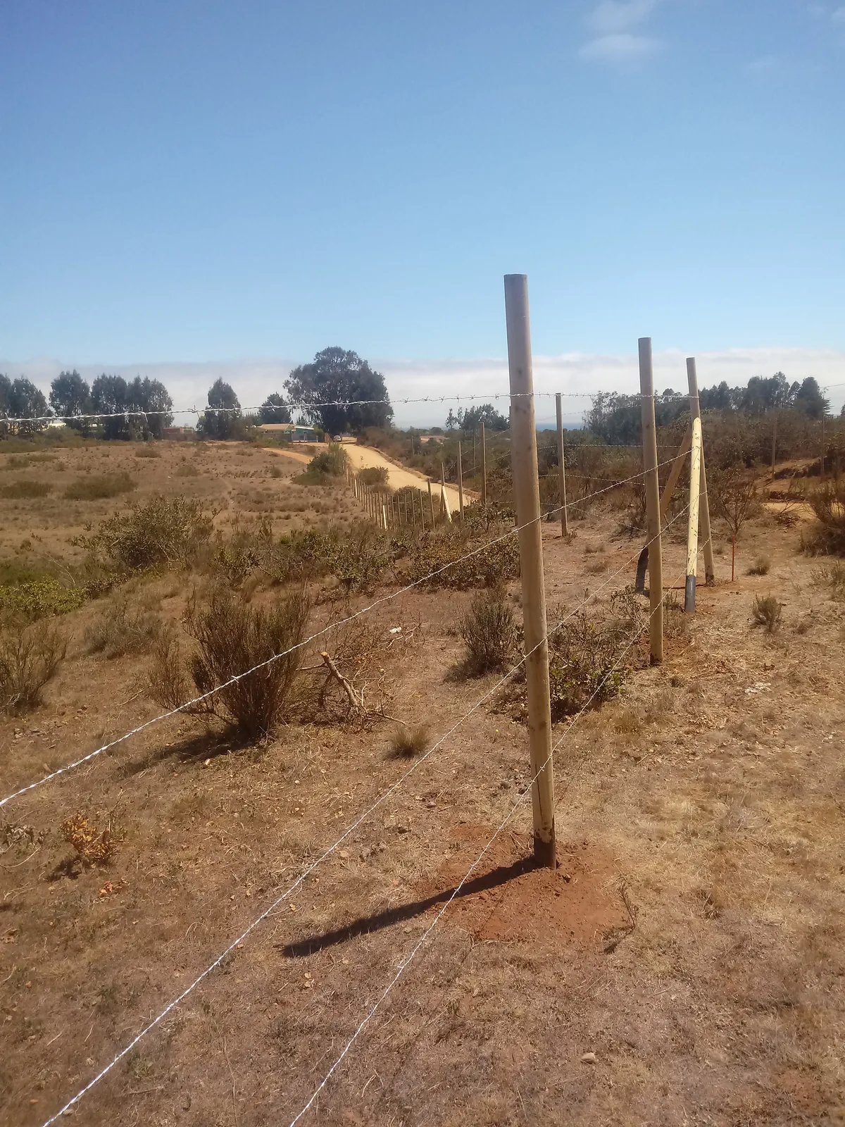 Cierre Perimetral en El Yeco, Algarrobo — Alambre de púa y malla cuadrada — foto 6