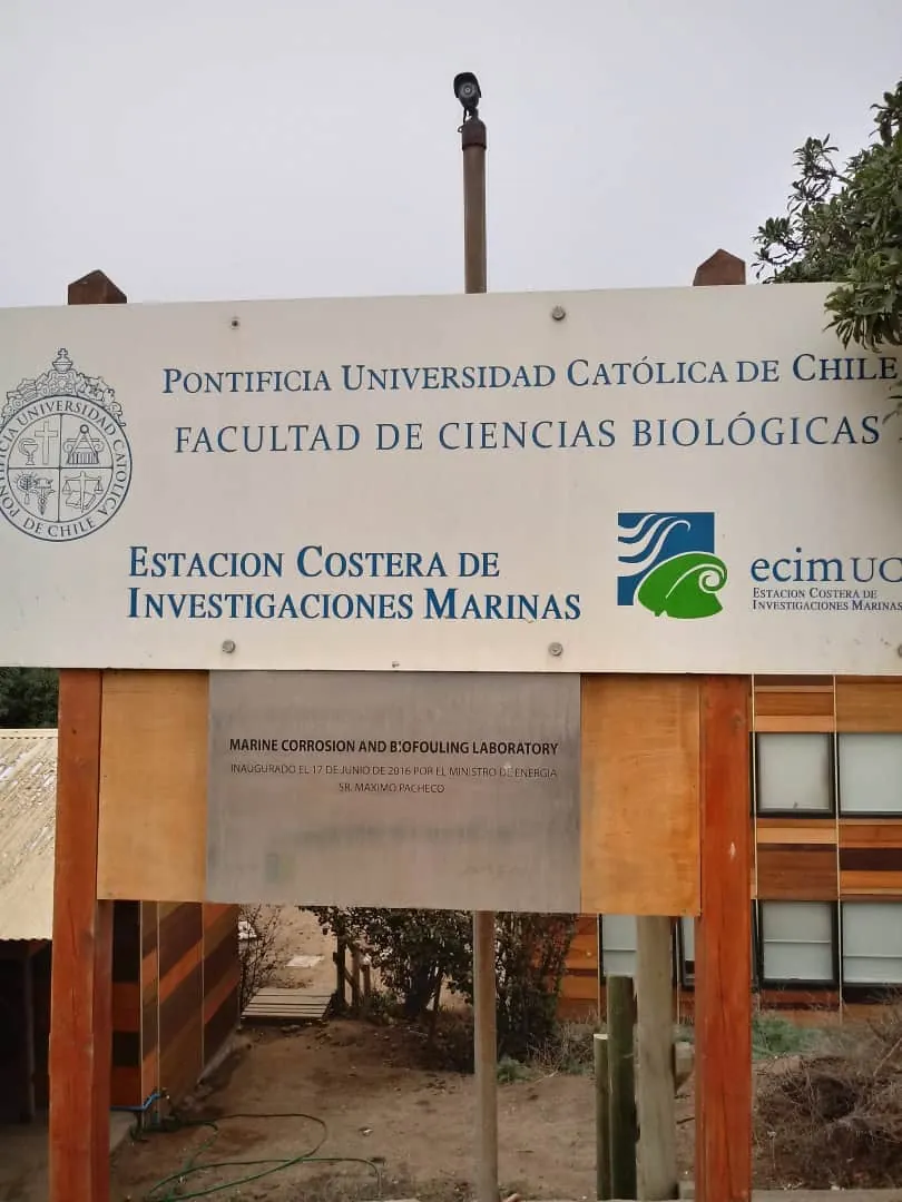 Cierre Perimetral en Las Cruces / El Tabo — foto 10