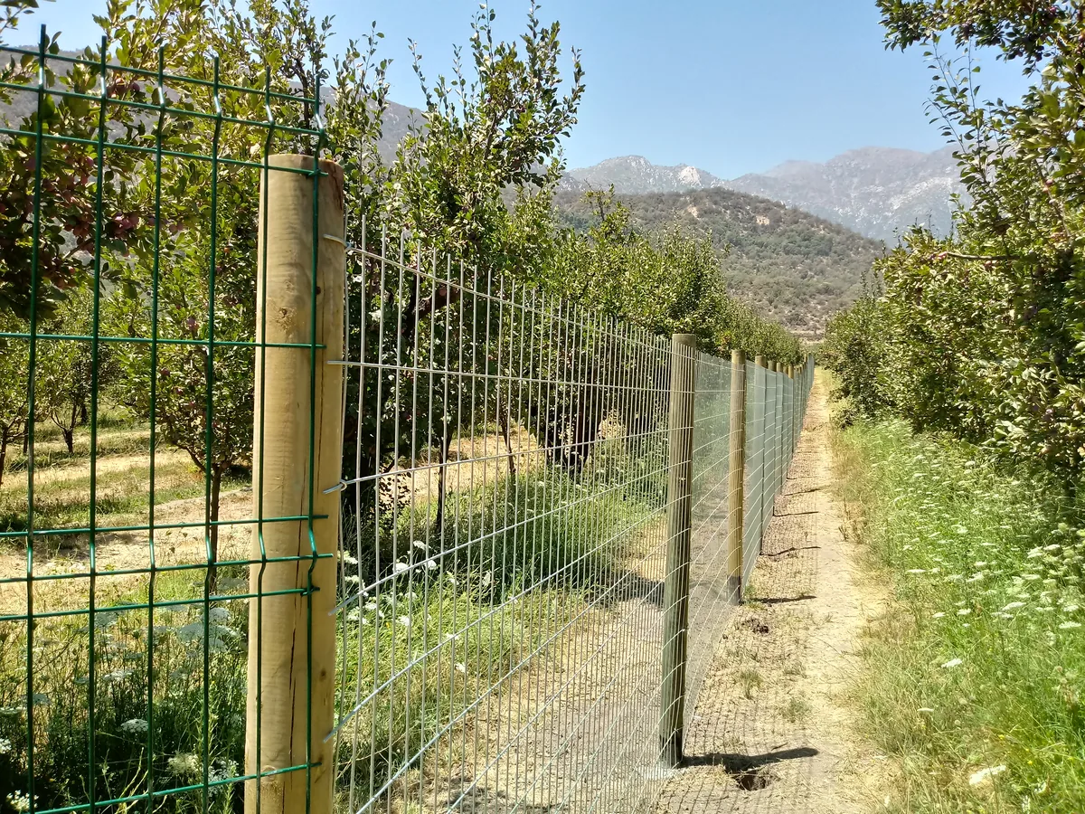 Cierre Perimetral en Pirque — Malla 1G — foto 1
