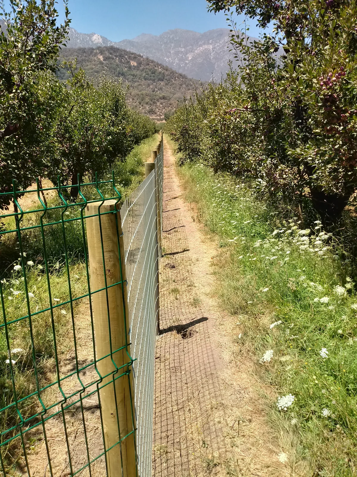 Cierre Perimetral en Pirque — Malla 1G — foto 3