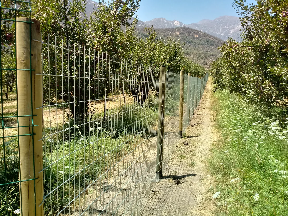 Cierre Perimetral en Pirque — Malla 1G — foto 4