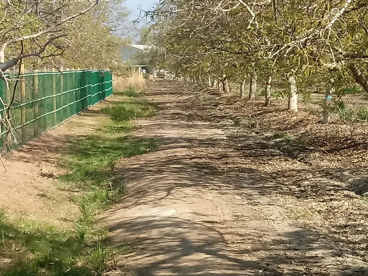 Cierre Perimetral en Pirque — foto 5