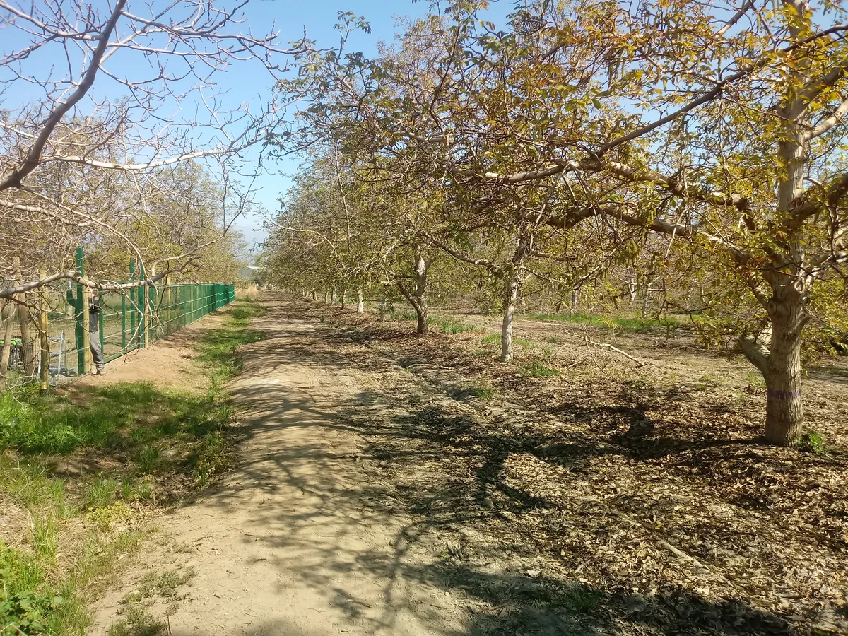 Cierre Perimetral en Pirque — foto 7