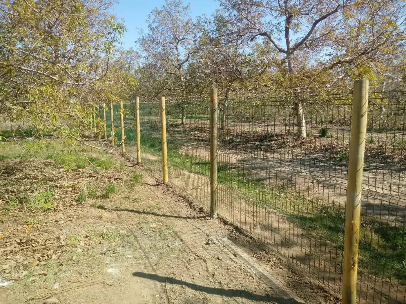 CIerre Perimetral en Pirque / Acmafor 3D + Polin — foto 2